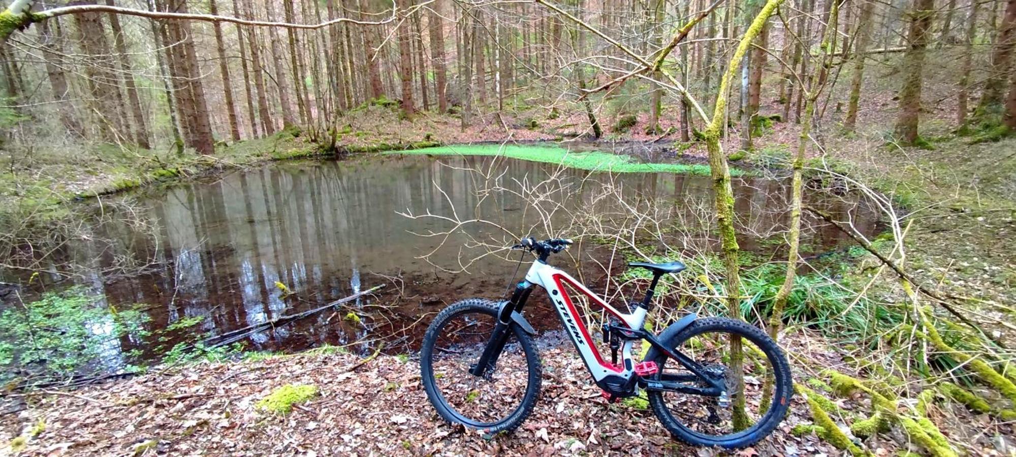 Ferienwohnung Hecht - Biketrail Fun & Relaxing Wolfegg Eksteriør billede