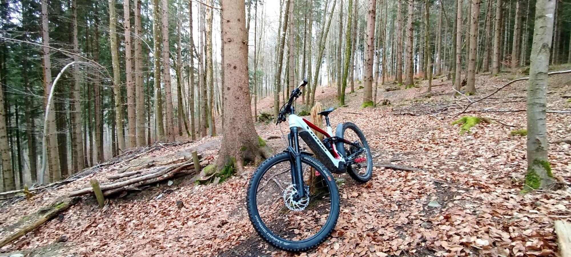 Ferienwohnung Hecht - Biketrail Fun & Relaxing Wolfegg Eksteriør billede